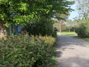 bungalow