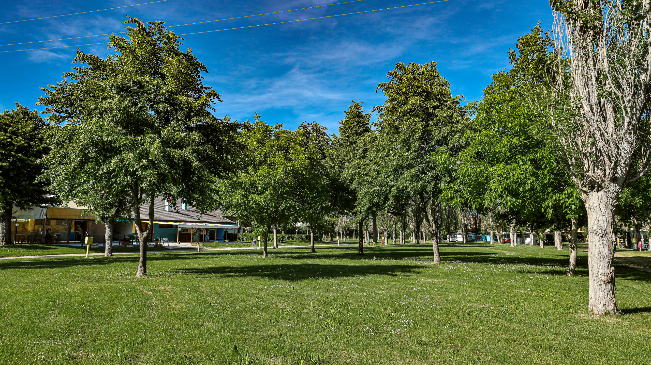 Piazzole del Camping Girasole immerse nel verde