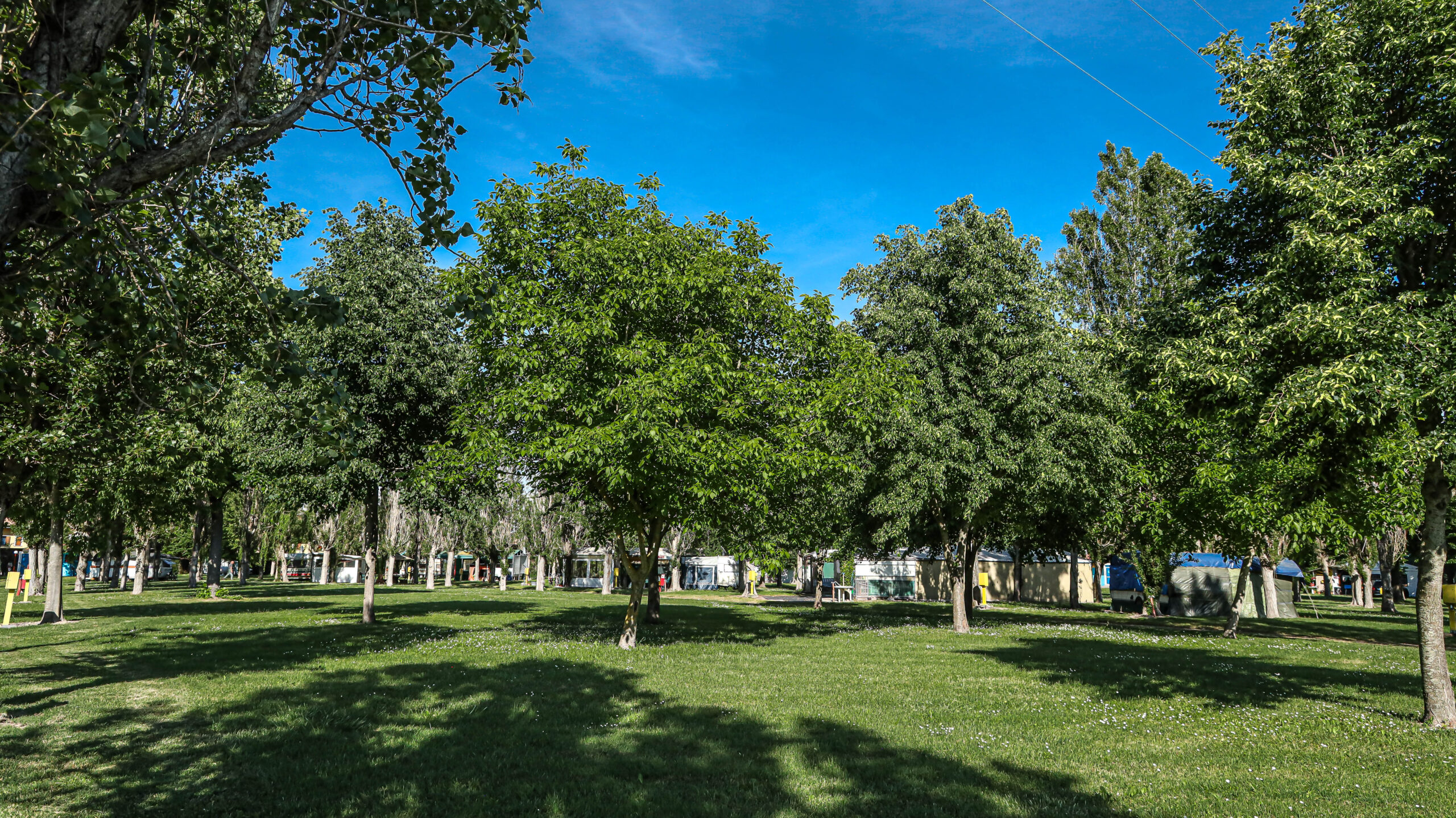 Piazzole del campeggio